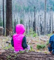 Πρόγραμμα "το Δάσος, το Σπίτι μας" στον Έβρο, από το Ίδρυμα Χατζηγάκη