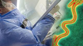 Όλα όσα πρέπει να γνωρίζετε για τον φονικό ιο Έμπολα.