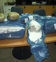 30 κιλά κάνναβης μετέφεραν από τους Κήπους οδηγοί λεωφορείου της γραμμής (φωτο)