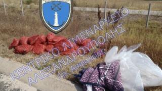 Κατάσχεση οστράκων ακατάλληλων για ανθρώπινη κατανάλωση στην Αλεξανδρούπολη και συλλήψεις