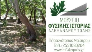 Εκπαιδευτικό Πρόγραμμα του Μουσείου Φυσικής Ιστορίας Αλεξανδρούπολης
