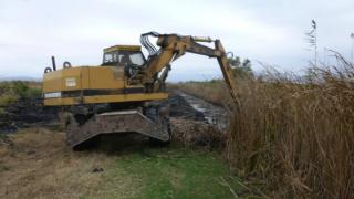 Πόρος Έβρου: Το Δέλτα του Έβρου βελτιώνεται για να υποδεχτεί τους Πελαργούς 