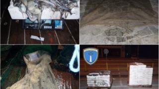 Περισσότερα από 600 κιλά ψάρια και χταποδάκια "τσίμπησε" το Λιμεναρχείο Αλεξανδρούπολης