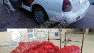 Θα καταστραφούν τα 693 κιλά όστρακα που "τσίμπησε" το Λιμεναρχείο Αλεξανδρούπολης