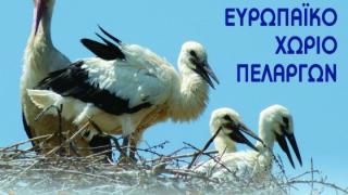 Αναβάλλεται το Φεστιβάλ Πελαργών στον Πόρο, Αλεξανδρούπολης