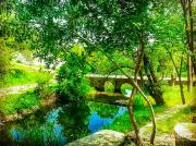 Feres Evros'daki Gotzia köprüsünde