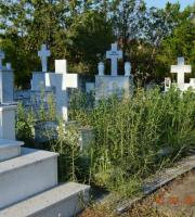 Έβρος: Σε πλήρη εγκατάλειψη τα νεκροταφεία Τυχερού (φωτο)