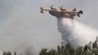 "Κάηκε" η ΠΑΜΘ - Οκτώ πυρκαγιές σε 10 ημέρες