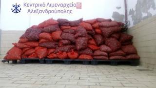 Κατασχέθηκαν 98 σάκοι με ακατάλληλα για κατανάλωση όστρακα, στην Αλεξανδρούπολη