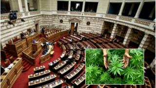 Εγκρίθηκε από τη Βουλή το νομοσχέδιο για τη φαρμακευτική κάνναβη