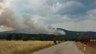 200 στρέμματα πευκοδάσους κάηκαν στη Λευκίμμη Σουφλίου 