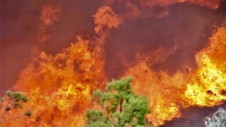 Πως θα εκκενωθούν τα Δίκελλα και η Μάκρη Αλεξανδρούπολης σε περίπτωση πυρκαγιάς;