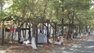 Οργανωμένη αναβάθμιση του κάμπινγκ από το Δήμο Σαμοθράκης 