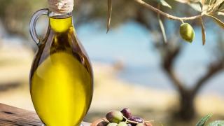 40% ζημιά στους ελαιώνες της Μάκρης Αλεξανδρούπολης – δάκρυα κάτω από τις ελιές 