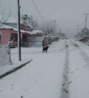 Σιδηρώ Σουφλίου