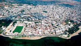 Η Αλεξανδρούπολη αγκαλιάζει τα αδέσποτα: σειρά παρεμβάσεων σε πολλά σημεία 