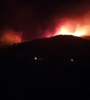 Στιγμιότυπο από την Πυρκαγιά της Μελίας