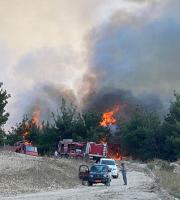 Συναγερμός στην Πυροσβεστική: Πυρκαγιά στη Λύρα Έβρου, στη Δαδιά (φωτο + video)