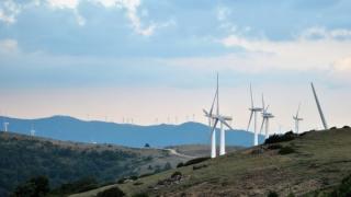 «Όχι» του Δημοτικού Συμβουλίου Σουφλίου στην εγκατάσταση ανεμογεννητριών στο Δάσος Δαδιάς