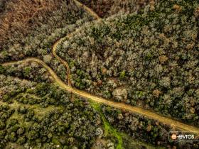 Avanta bölgesindeki