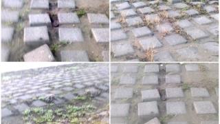 Οικοπάρκο Αλτιναλμάζη: Κακοτεχνία, έλλειψη συντήρησης ή ανευθυνότητα πολιτών;