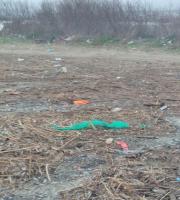 Σε κατάσταση πλήρους εγκατάλειψης η παραλία Απαλού (φώτο)