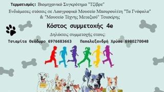 Σουφλί: Αγώνας δρόμου από τον φιλοζωικό σύλλογο “νοιάΖΩμΑι” 