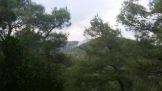 3 φωτιές χθες στον Έβρο - 8 κεραυνοί συνολικά φέτος