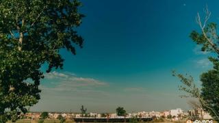 100 δέντρα θα φυτευτούν από τους μαθητές στο Οικοπάρκο Αλτιναλμάζη