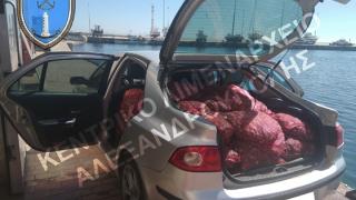 Πάνω από 1 τόνο ακατάλληλα όστρακα κατέσχεσε το Λιμενικό στην Αλεξανδρούπολη