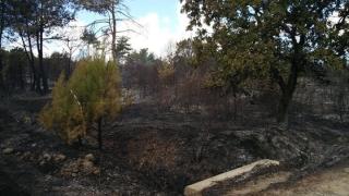 ΥΠΕΣ: Χρηματοδότηση ύψους 268.600 ευρώ στους δήμους του Έβρου για την πυροπροστασία