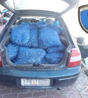 Αλεξανδρούπολη: Κατασχέθηκε σχεδόν ένας τόνος όστρακα ακατάλληλα για κατανάλωση