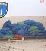 Αλεξανδρούπολη: Κατασχέθηκε σχεδόν ένας τόνος όστρακα ακατάλληλα για κατανάλωση