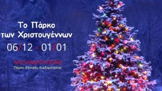 Η Αλεξανδρούπολη άναψε το πιο λαμπερό Χριστουγεννιάτικο Δέντρο!