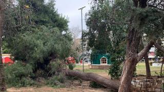 Επέλαση «Ηφαιστίων»: Πτώσεις δέντρων, δεμένα πλοία & χιόνια 