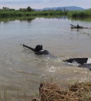 Σε ετοιμότητα ο στρατός στον Έβρο - Συνεχίζονται οι ασκήσεις (φωτο)