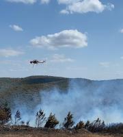 Μεγάλη πυρκαγιά έκαψε πευκοδάσος ανάμεσα σε Μελία και Νίψα στην Αλεξανδρούπολη (video & photo)
