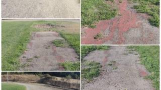Εικόνες εγκατάλειψης στο γήπεδο των Φερών - Αγανακτισμένοι οι κάτοικοι