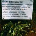 Δημοτική Βιβλιοθήκη Αλεξανδρούπολης