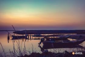 Το Δέλτα του Έβρου, ένας από τους σημαντικότερους υγροβιότοπους της Ευρώπης