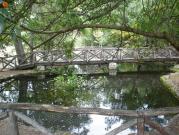 Dadia'nın dinlenme alanı.