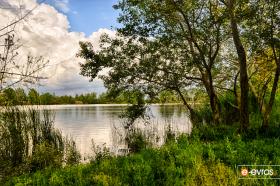 23 - 1 March of 2015