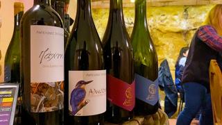 Αμπελώνες Χατζησάββα: Τιμήσαμε την Ευρωπαϊκή Ημέρα Οινοτουρισμού! (video)