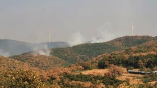 Καίγεται για 12η μέρα ο Έβρος - Αναζωπυρώσεις σε Λευκίμμη, Κοτρωνιά και Τρεις Βρύσες (video)