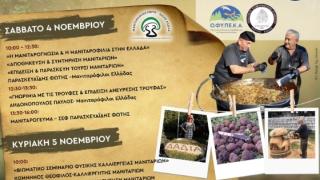 Η 13η Γιορτή Μανιταριών στο Δάσος της Δαδιάς είναι γεγονός!
