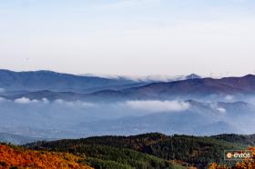 Η πανέμορφη Κίρκη