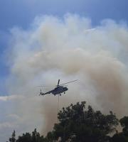 Συναγερμός στην Πυροσβεστική: Πυρκαγιά στη Λύρα Έβρου, στη Δαδιά (φωτο + video)