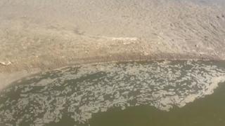 Σήμα κινδύνου για την έλλειψη νερών στον Έβρο (video)