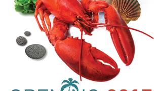 Mayo beach restaurant: Εδώ το καλοκαίρι ξεκινά!