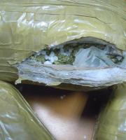 30 κιλά κάνναβης μετέφεραν από τους Κήπους οδηγοί λεωφορείου της γραμμής (φωτο)